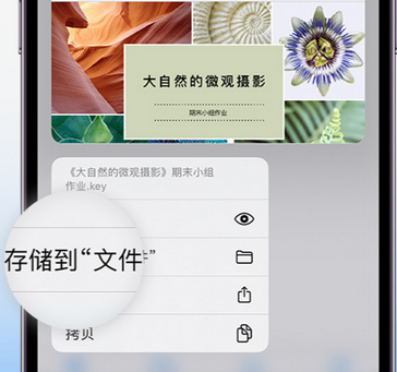 下花园apple维修中心分享iPhone文件应用中存储和找到下载文件