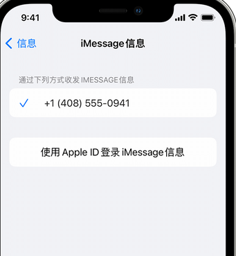 下花园apple维修iPhone上无法正常发送iMessage信息 