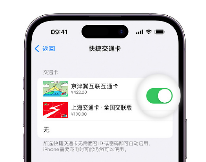 下花园apple维修点分享iPhone上更换Apple Pay快捷交通卡手绘卡面 