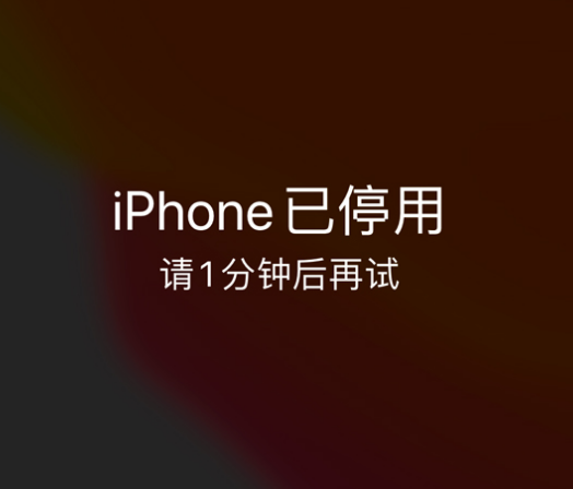 下花园苹果手机维修分享:iPhone 显示“不可用”或“已停用”怎么办？还能保留数据吗？ 