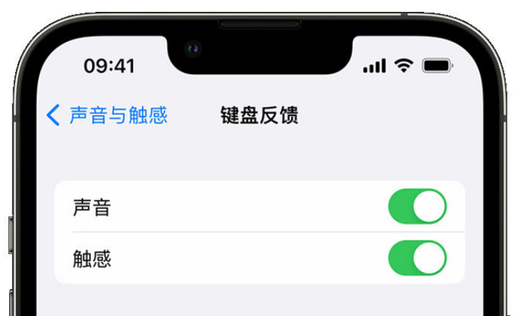 下花园苹果手机维修分享iPhone 14触感键盘使用方法 