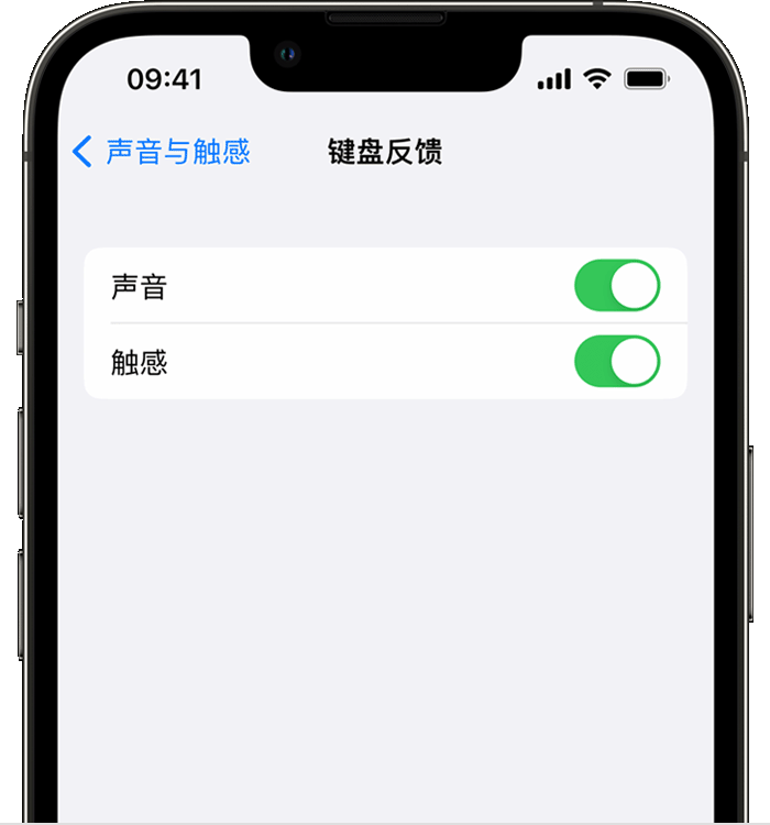 下花园苹果14维修店分享如何在 iPhone 14 机型中使用触感键盘 