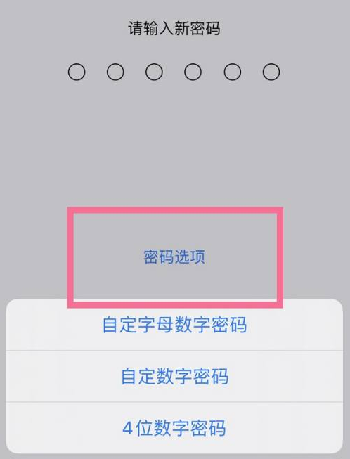 下花园苹果14维修分享iPhone 14plus设置密码的方法 